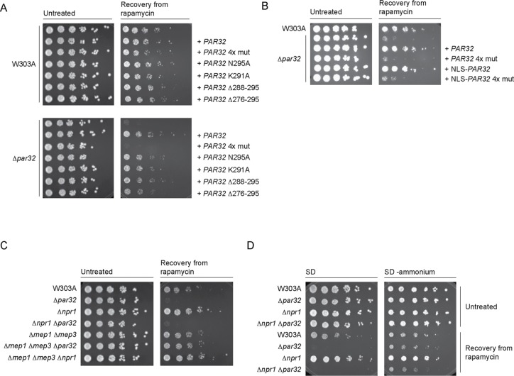 FIGURE 5: