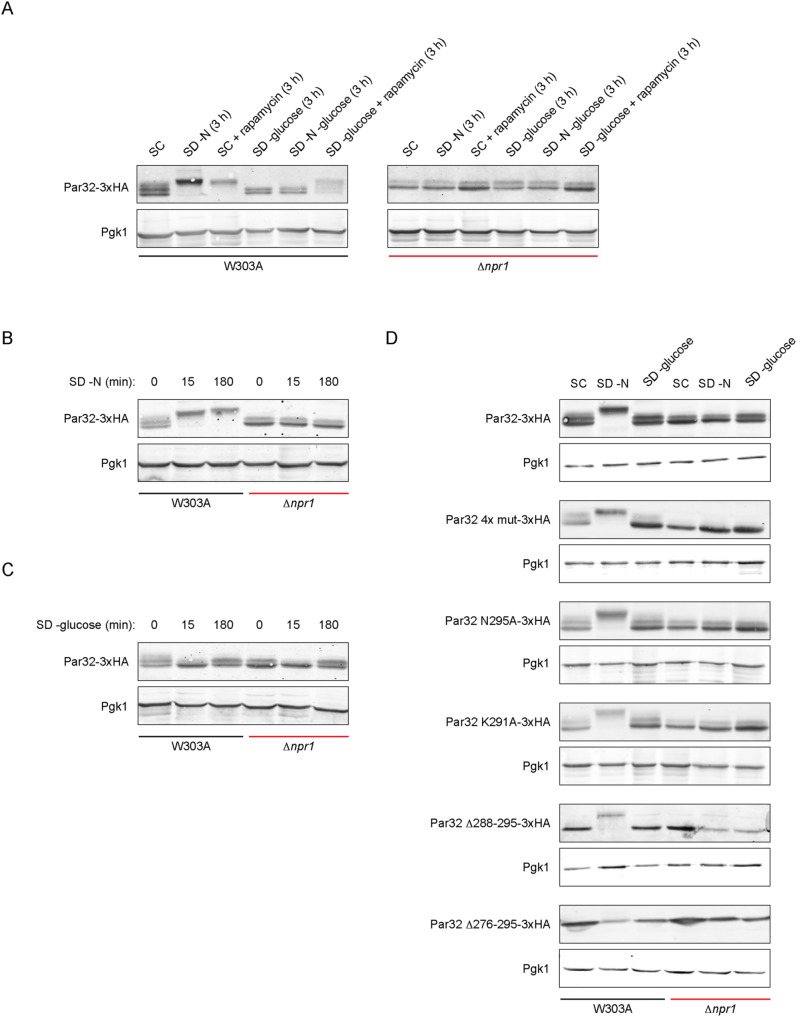 FIGURE 4: