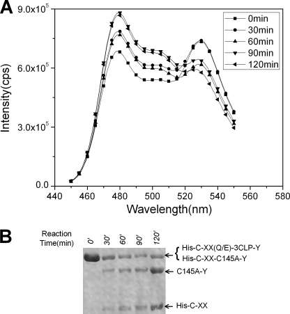 FIGURE 2.