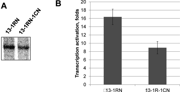 Figure 7.