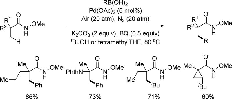 Scheme 4