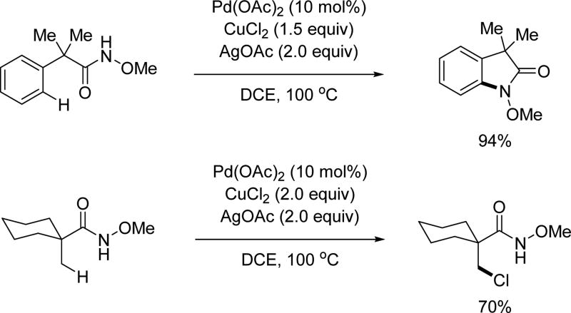 Scheme 5