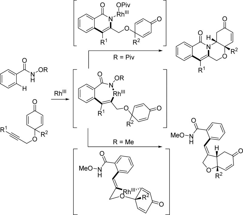 Scheme 22