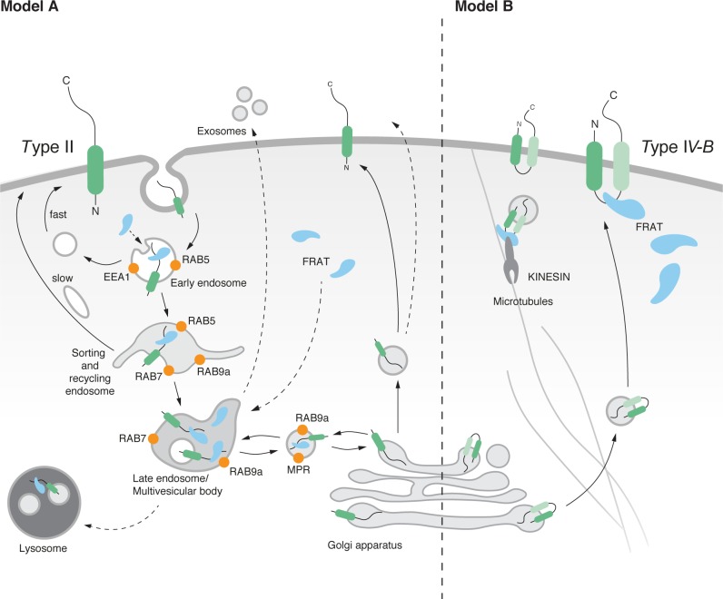 Fig 6