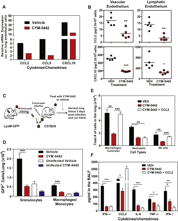 Figure 6