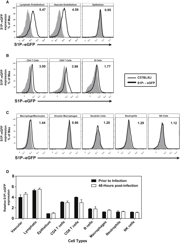 Figure 4