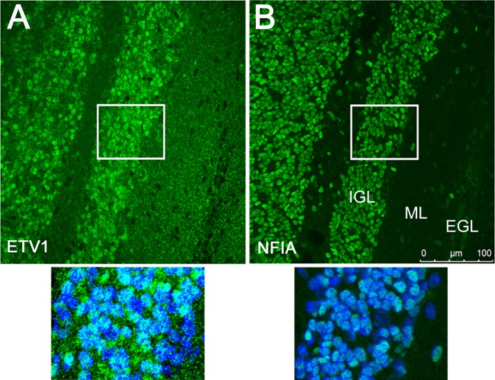 FIGURE 6: