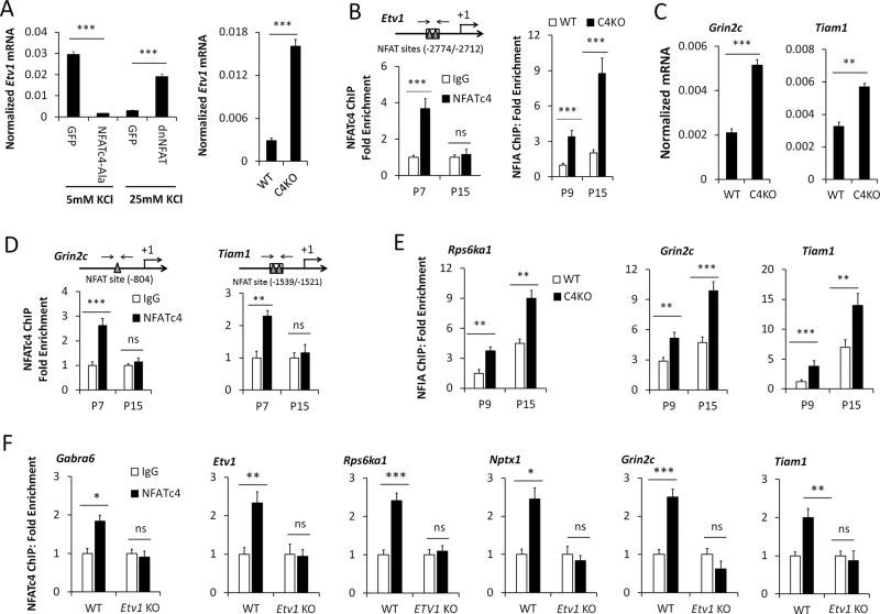 FIGURE 10: