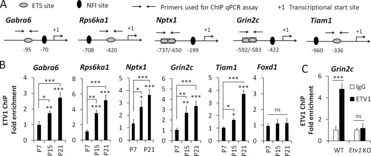 FIGURE 4: