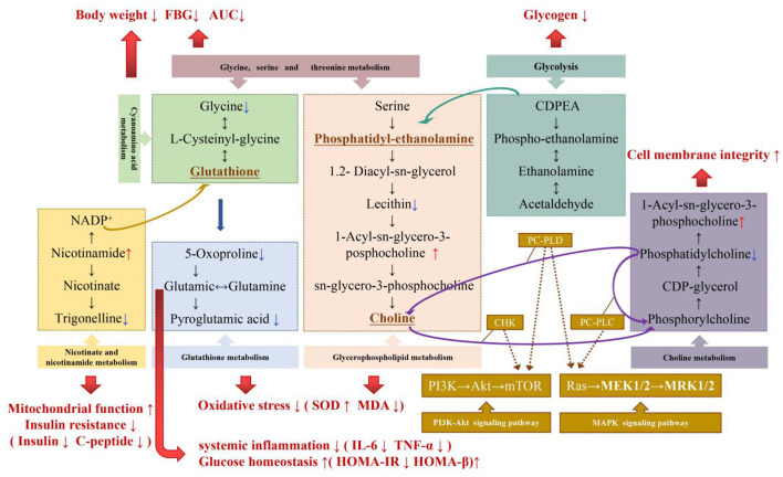 Figure 11