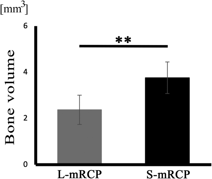 Fig. 6