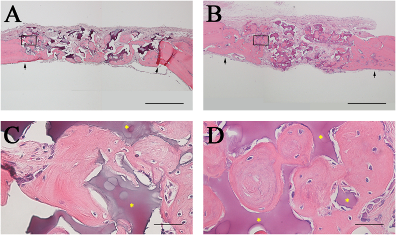 Fig. 8