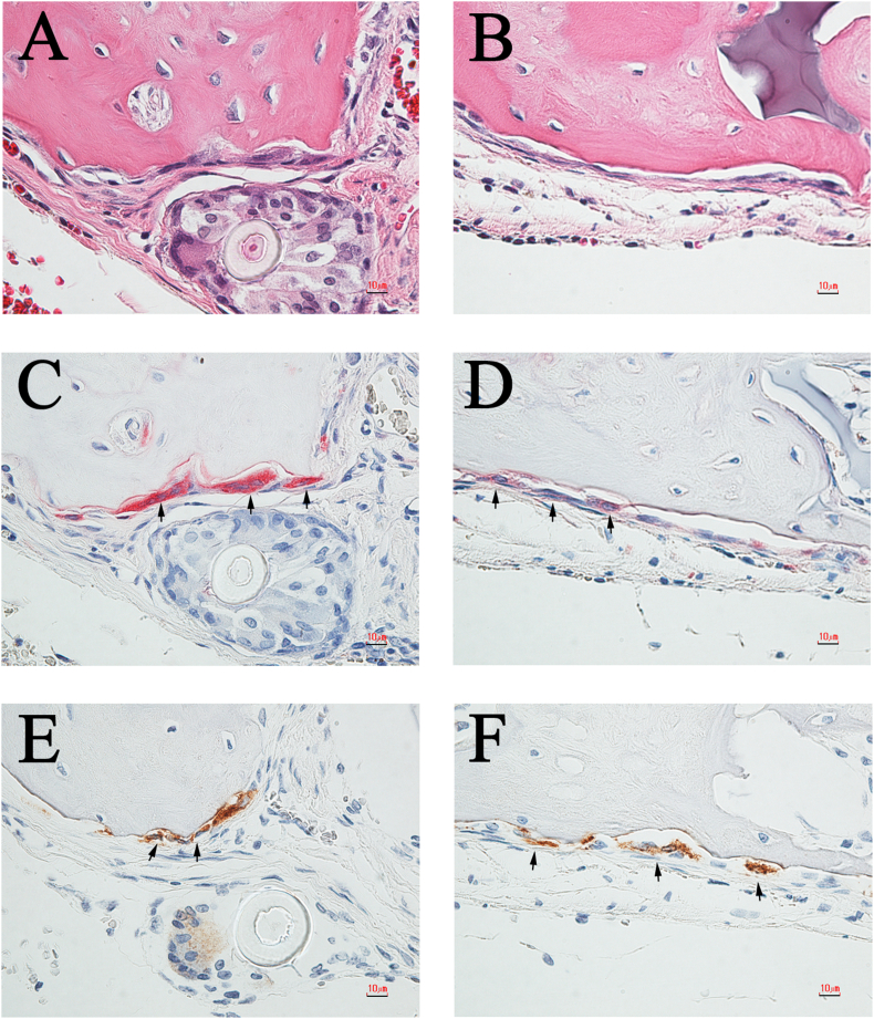 Fig. 10