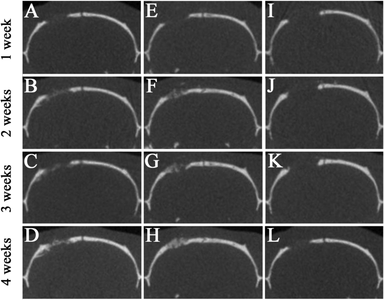 Fig. 4