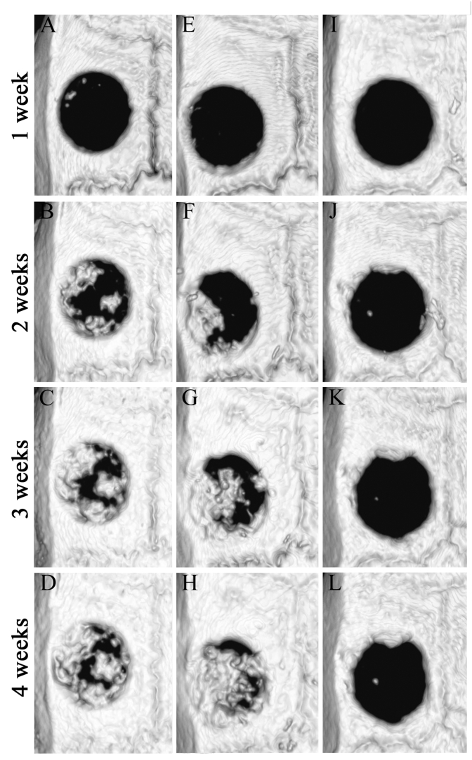 Fig. 7