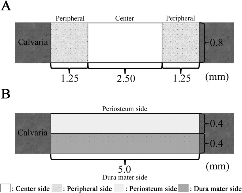 Fig. 3