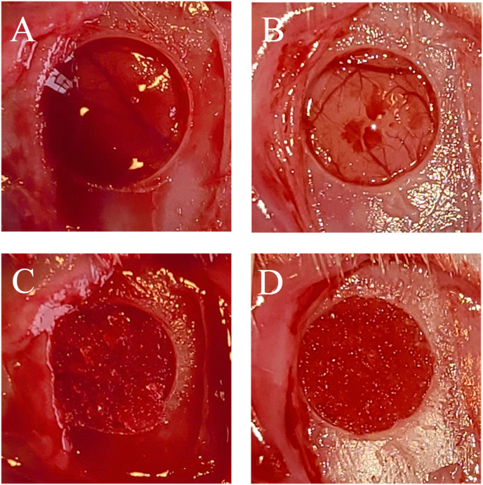 Fig. 2