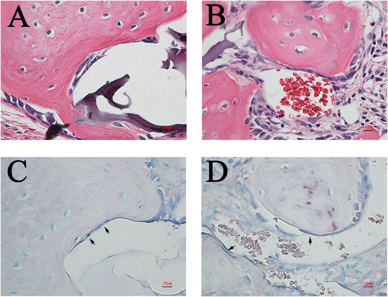 Fig. 9