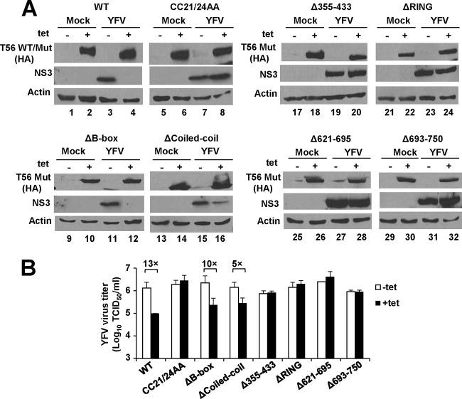 FIG 6