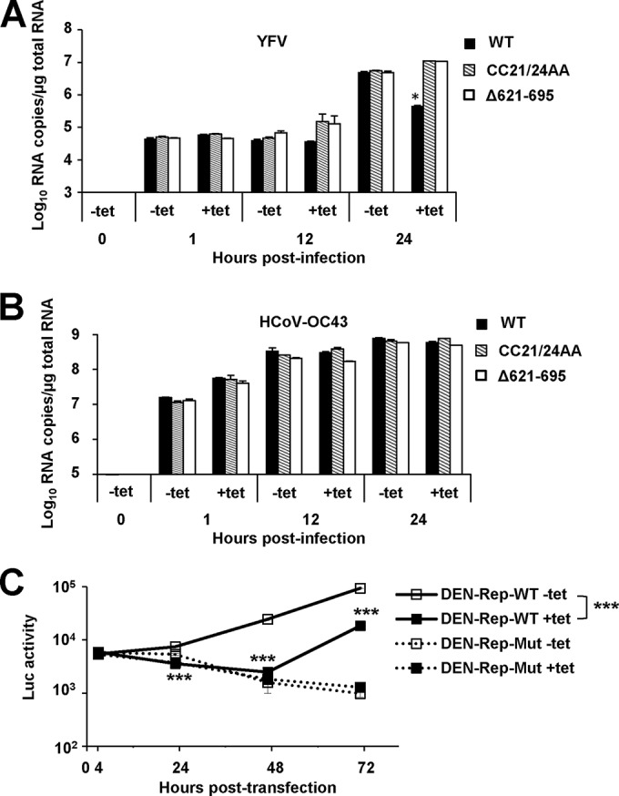 FIG 10