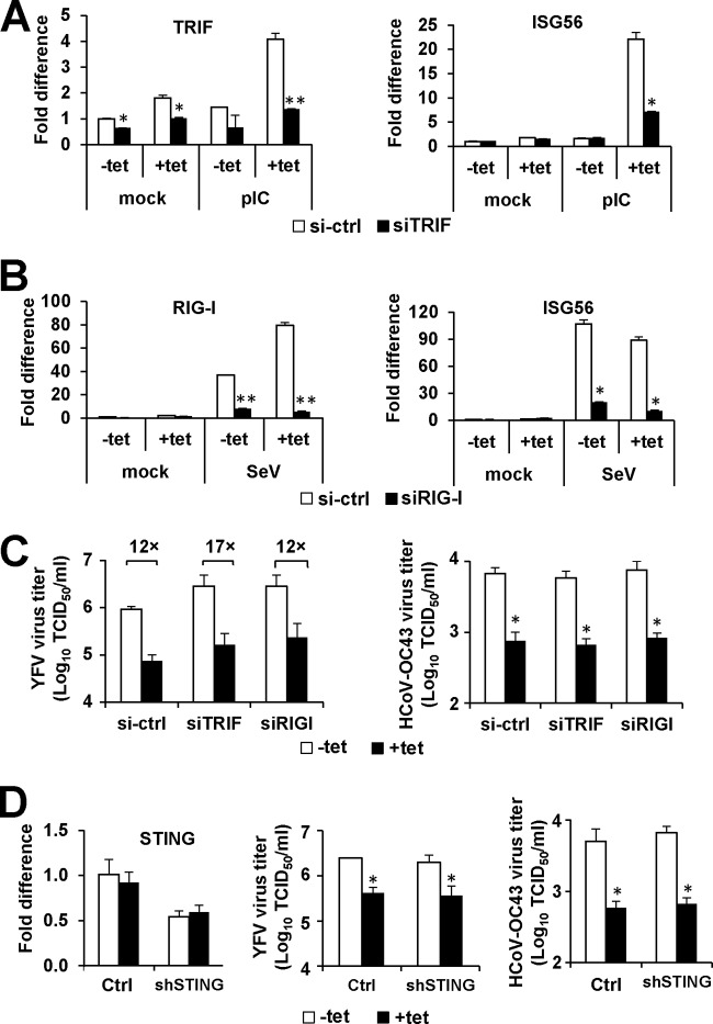 FIG 4