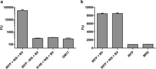 Fig. 1