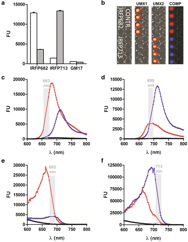 Fig. 3