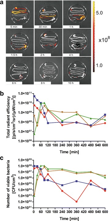 Fig. 6