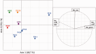 <sc>Fig</sc>. 1.—