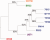 <sc>Fig</sc>. 3.—
