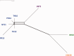 <sc>Fig</sc>. 4.—