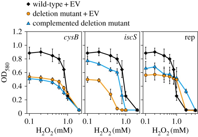 Figure 5.