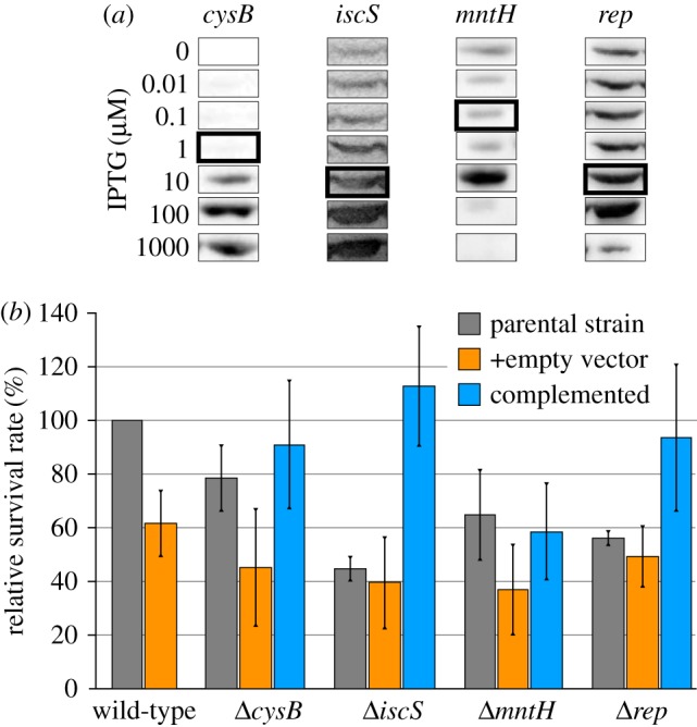 Figure 2.