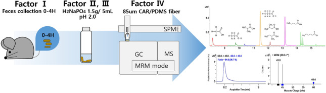 graphic file with name 216_2023_4895_Figa_HTML.jpg