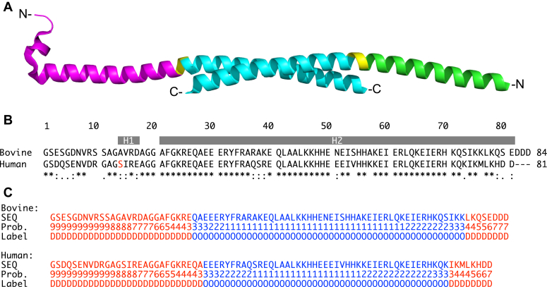 Figure 1