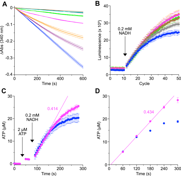 Figure 4