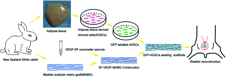 graphic file with name c7ra11610a-ga.jpg