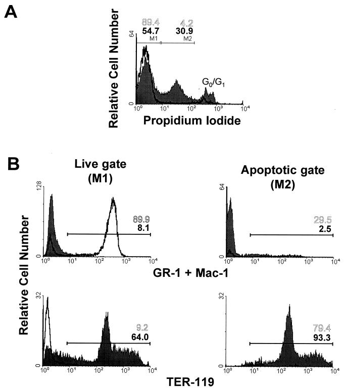 FIG. 6