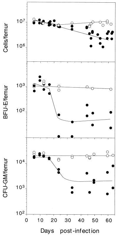 FIG. 5