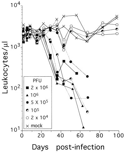 FIG. 1