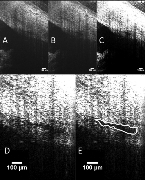 Figure 3.