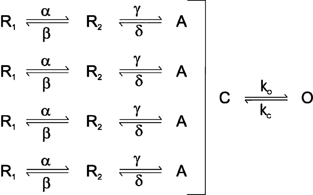 graphic file with name JGP_201210914_Scheme1R.jpg