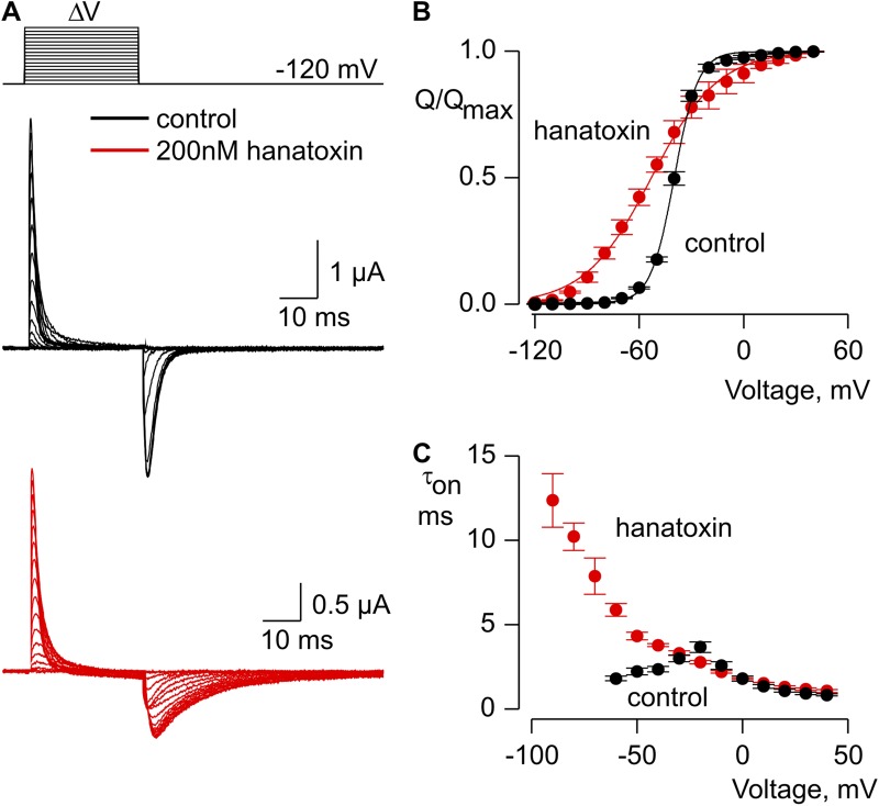 Figure 5.