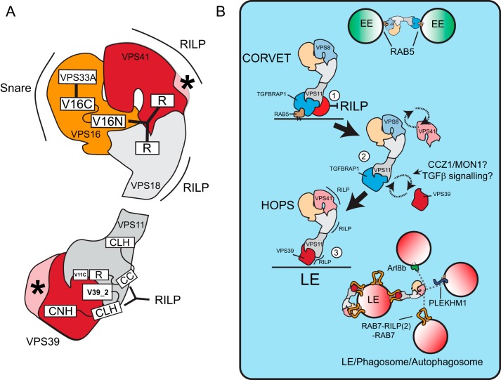 FIGURE 6.