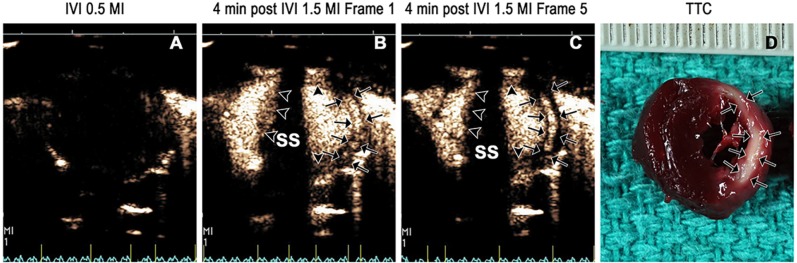 Fig 3