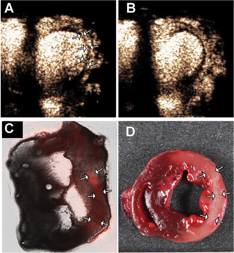 Fig 6