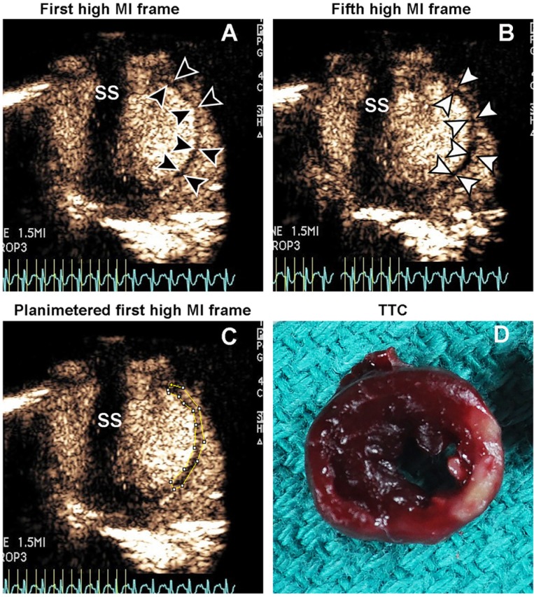 Fig 2