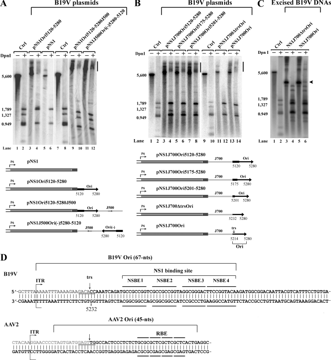 FIG. 6.