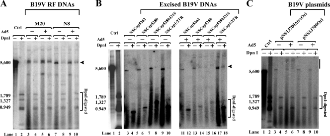 FIG. 8.