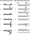 FIG. 2.
